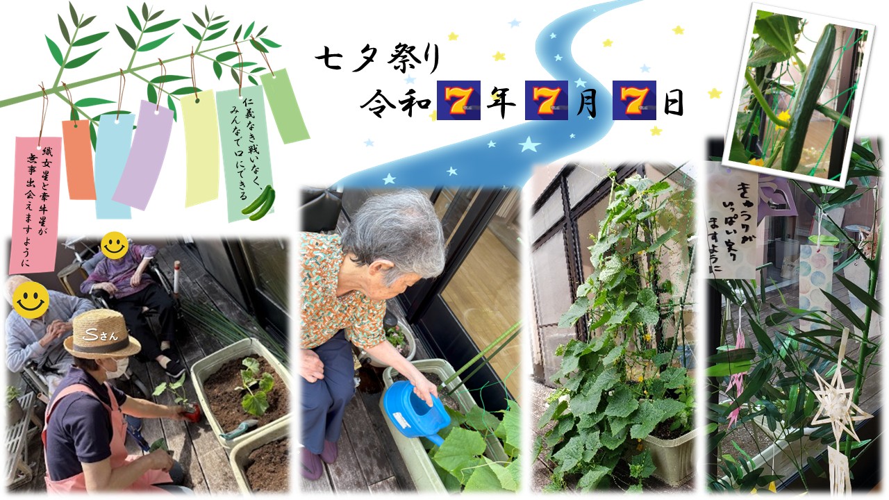 【七夕祭り】令和7年7月7日 border=