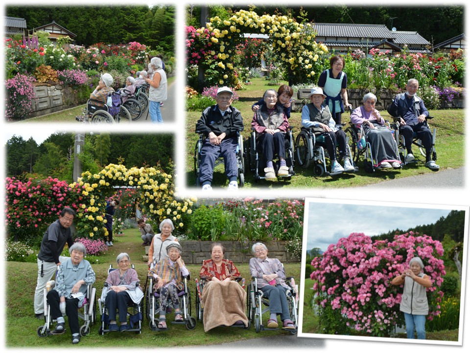 今年も楽しめた「癒しの薔薇園」